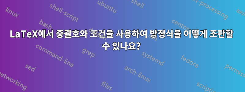 LaTeX에서 중괄호와 조건을 사용하여 방정식을 어떻게 조판할 수 있나요?