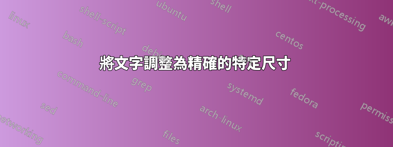 將文字調整為精確的特定尺寸