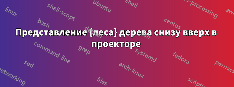 Представление {леса} дерева снизу вверх в проекторе