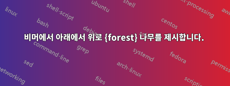 비머에서 아래에서 위로 {forest} 나무를 제시합니다.