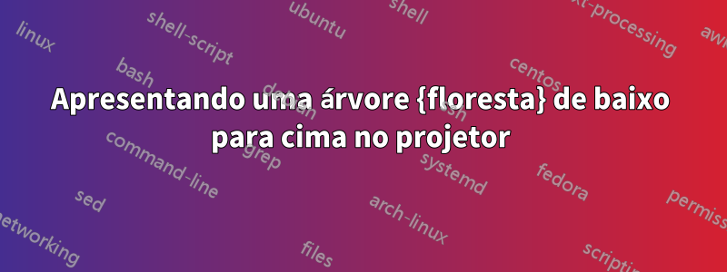 Apresentando uma árvore {floresta} de baixo para cima no projetor