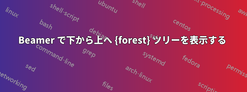 Beamer で下から上へ {forest} ツリーを表示する