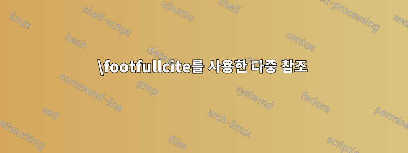 \footfullcite를 사용한 다중 참조