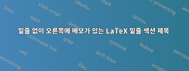 밑줄 없이 오른쪽에 메모가 있는 LaTeX 밑줄 섹션 제목