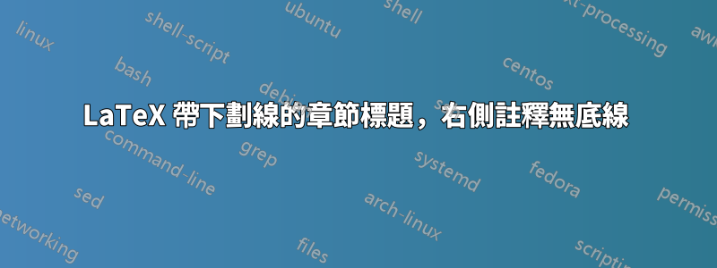 LaTeX 帶下劃線的章節標題，右側註釋無底線