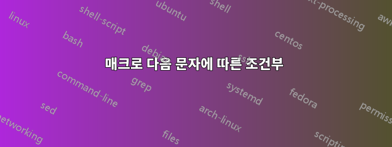 매크로 다음 문자에 따른 조건부