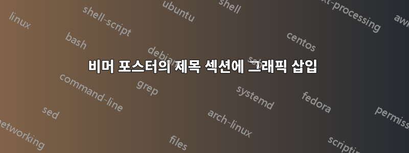 비머 포스터의 제목 섹션에 그래픽 삽입