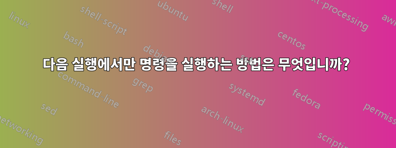 다음 실행에서만 명령을 실행하는 방법은 무엇입니까?