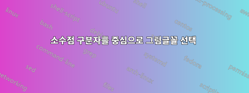소수점 구분자를 중심으로 그림글꼴 선택