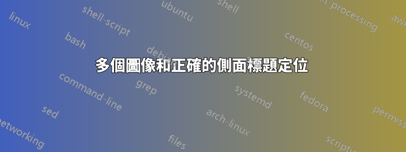 多個圖像和正確的側面標題定位