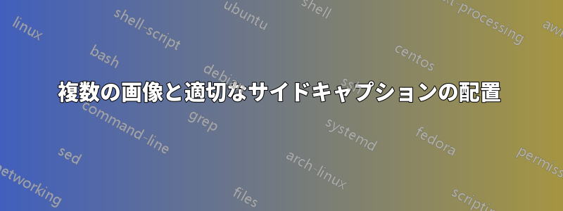 複数の画像と適切なサイドキャプションの配置