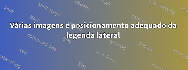 Várias imagens e posicionamento adequado da legenda lateral