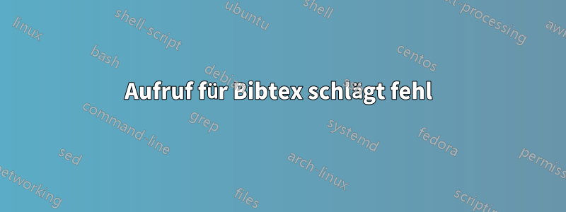 Aufruf für Bibtex schlägt fehl 