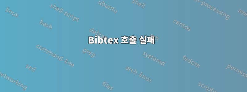 Bibtex 호출 실패 