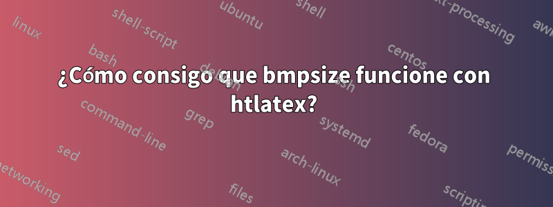 ¿Cómo consigo que bmpsize funcione con htlatex?