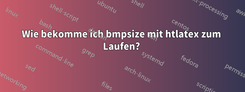Wie bekomme ich bmpsize mit htlatex zum Laufen?