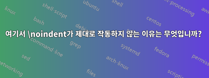 여기서 \noindent가 제대로 작동하지 않는 이유는 무엇입니까?