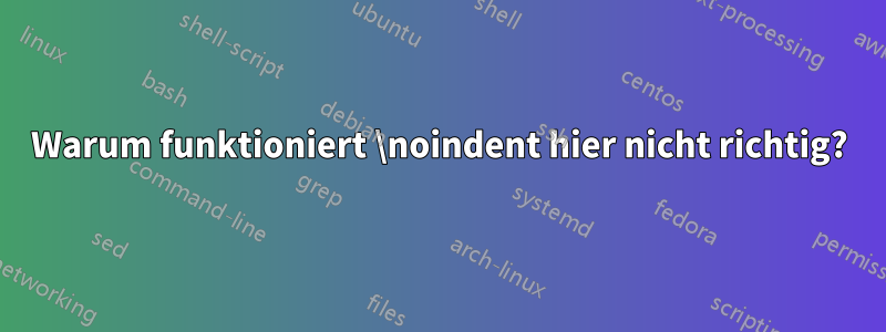 Warum funktioniert \noindent hier nicht richtig?