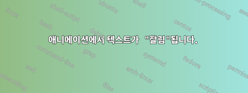 애니메이션에서 텍스트가 "잘림"됩니다.