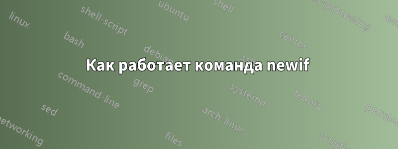 Как работает команда newif