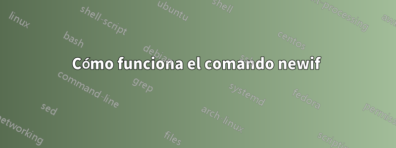 Cómo funciona el comando newif