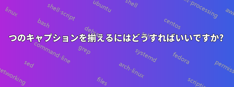 2 つのキャプションを揃えるにはどうすればいいですか? 