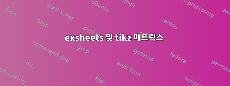 exsheets 및 tikz 매트릭스