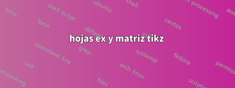 hojas ex y matriz tikz
