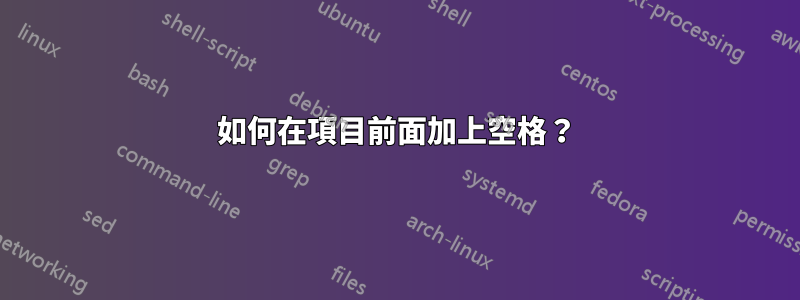 如何在項目前面加上空格？