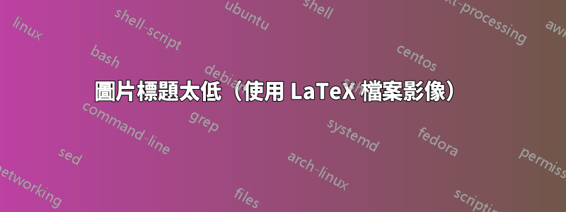 圖片標題太低（使用 LaTeX 檔案影像）