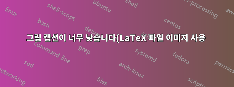 그림 캡션이 너무 낮습니다(LaTeX 파일 이미지 사용).