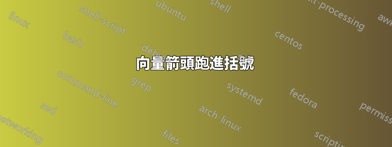 向量箭頭跑進括號