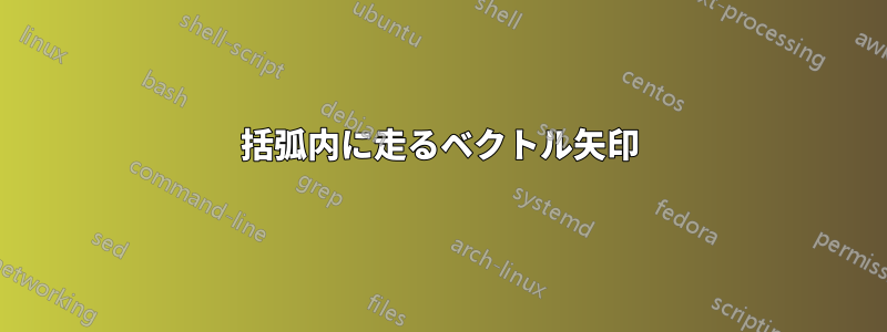 括弧内に走るベクトル矢印