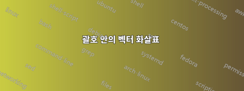 괄호 안의 벡터 화살표