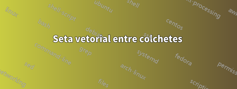 Seta vetorial entre colchetes