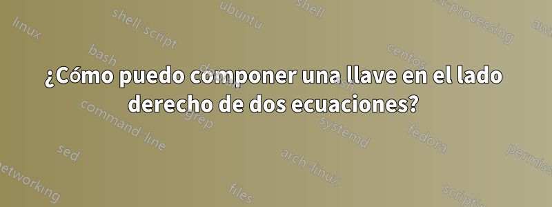 ¿Cómo puedo componer una llave en el lado derecho de dos ecuaciones?