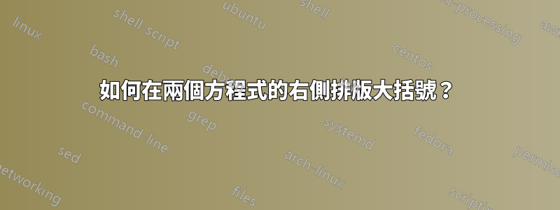 如何在兩個方程式的右側排版大括號？
