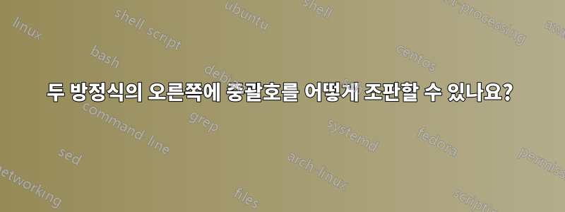 두 방정식의 오른쪽에 중괄호를 어떻게 조판할 수 있나요?