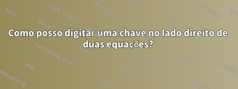 Como posso digitar uma chave no lado direito de duas equações?