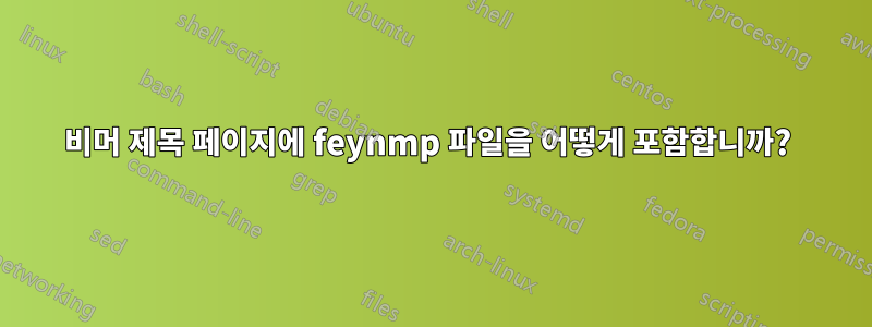 비머 제목 페이지에 feynmp 파일을 어떻게 포함합니까? 