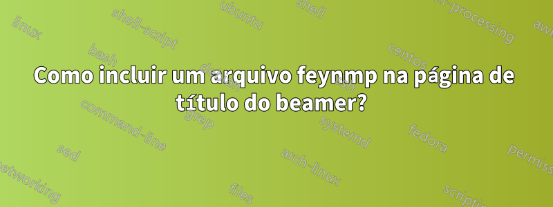 Como incluir um arquivo feynmp na página de título do beamer?