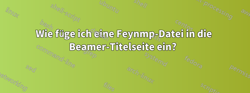 Wie füge ich eine Feynmp-Datei in die Beamer-Titelseite ein?