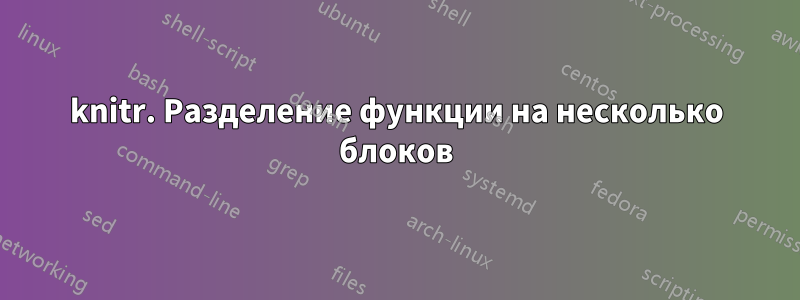 knitr. Разделение функции на несколько блоков