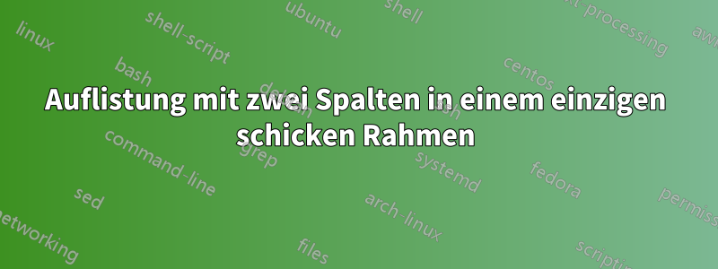 Auflistung mit zwei Spalten in einem einzigen schicken Rahmen