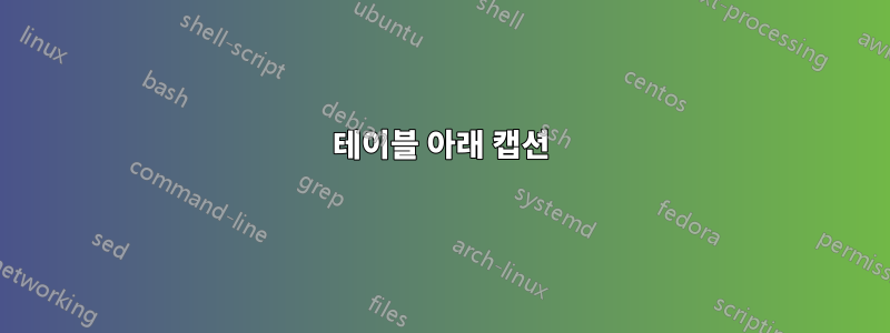 테이블 아래 캡션