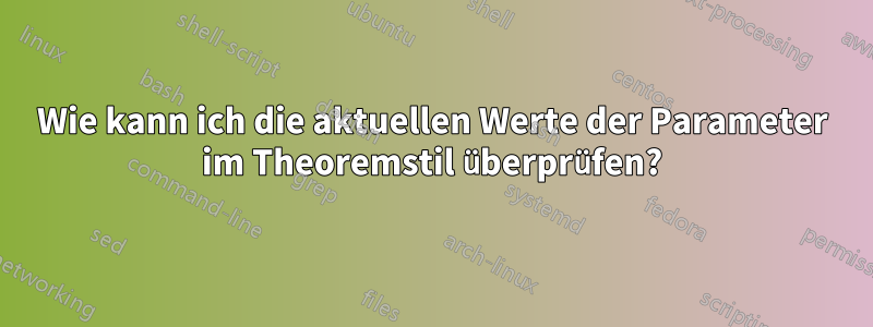Wie kann ich die aktuellen Werte der Parameter im Theoremstil überprüfen?
