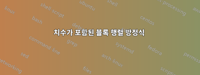 치수가 포함된 블록 행렬 방정식