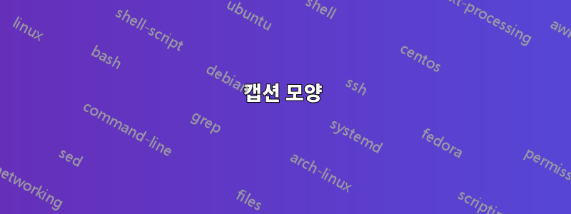 캡션 모양