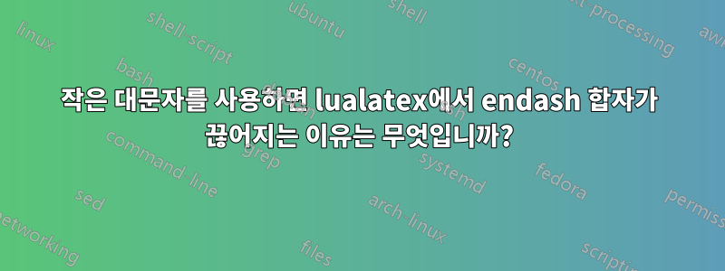 작은 대문자를 사용하면 lualatex에서 endash 합자가 끊어지는 이유는 무엇입니까?