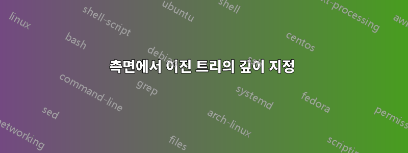 측면에서 이진 트리의 깊이 지정